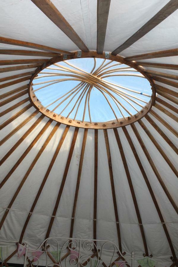 Mill Haven Place Glamping Talbenny Esterno foto