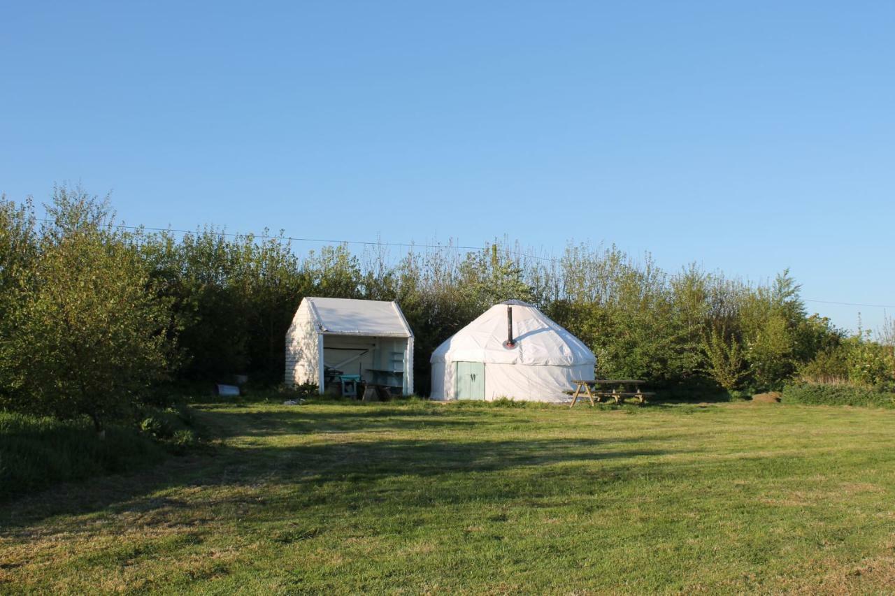 Mill Haven Place Glamping Talbenny Esterno foto