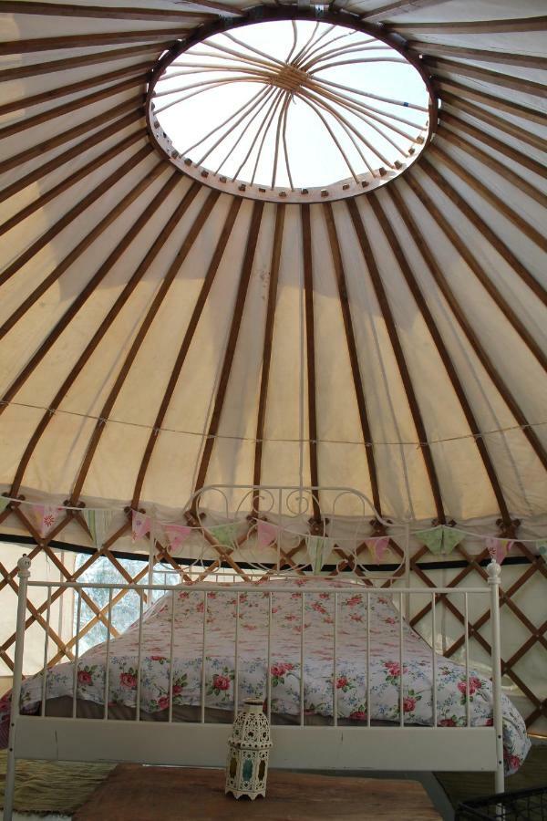 Mill Haven Place Glamping Talbenny Esterno foto